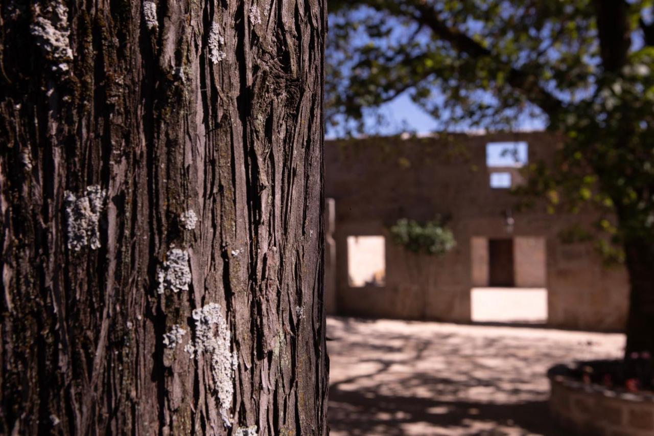 فيزيو Quinta De Sao Francisco Houses المظهر الخارجي الصورة